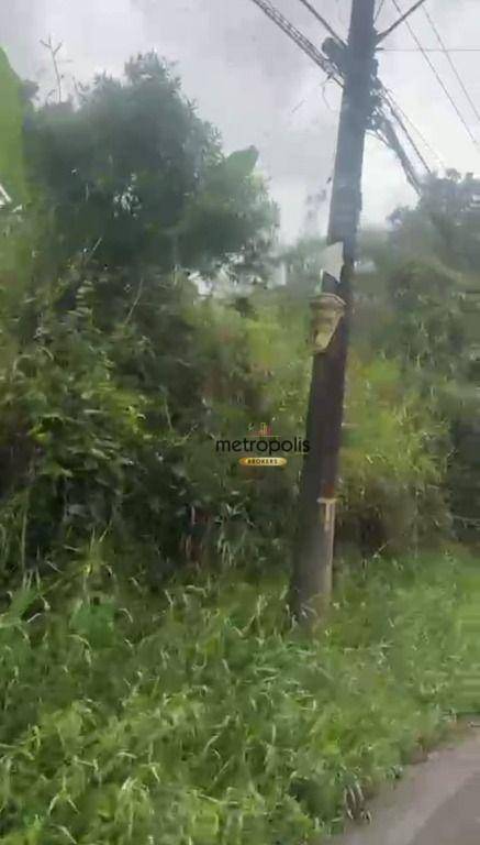 Terreno à venda, 5000M2 - Foto 6