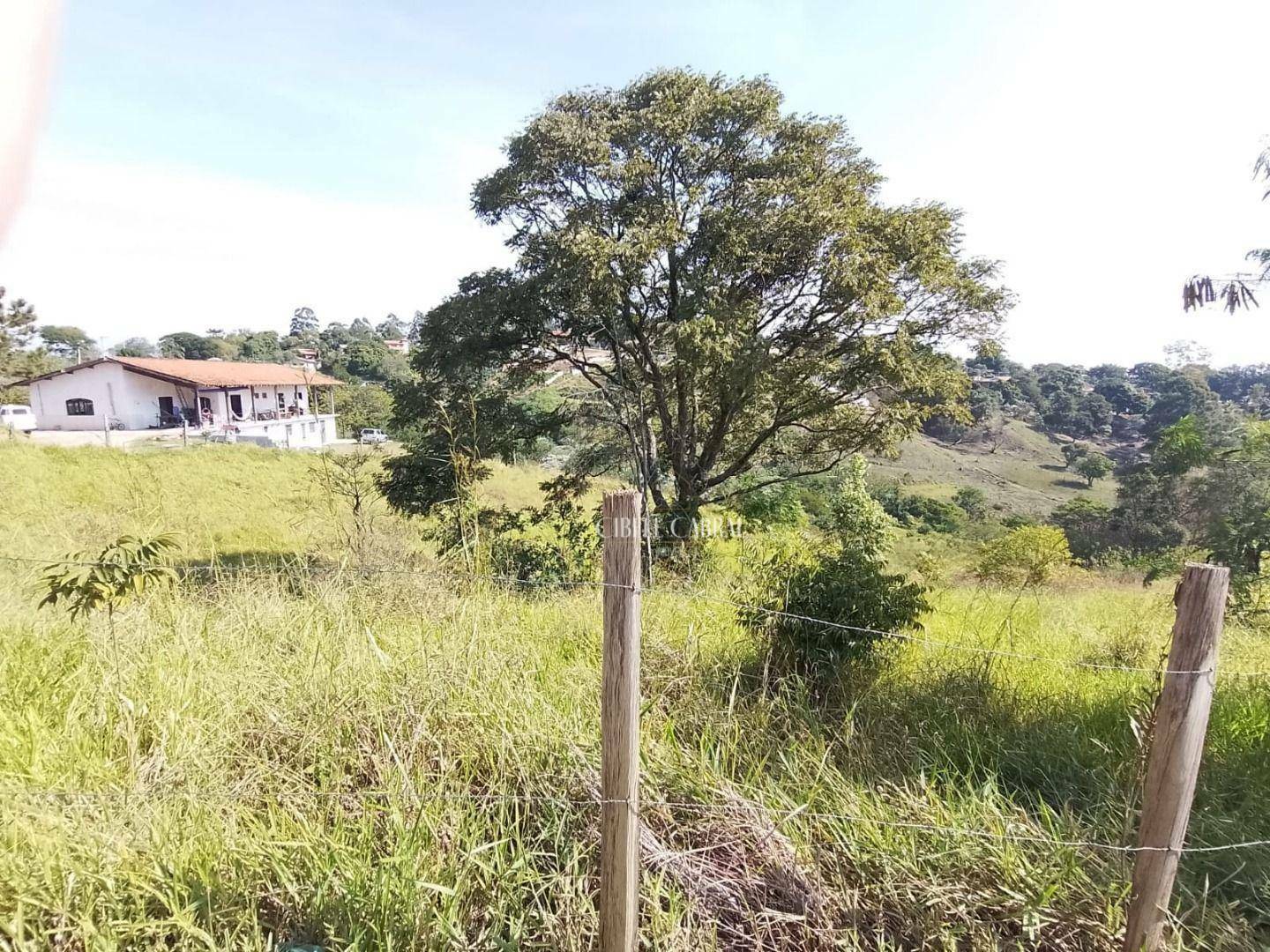 Terreno à venda, 2087M2 - Foto 2