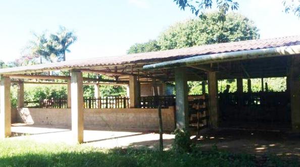 Fazenda à venda com 4 quartos - Foto 6