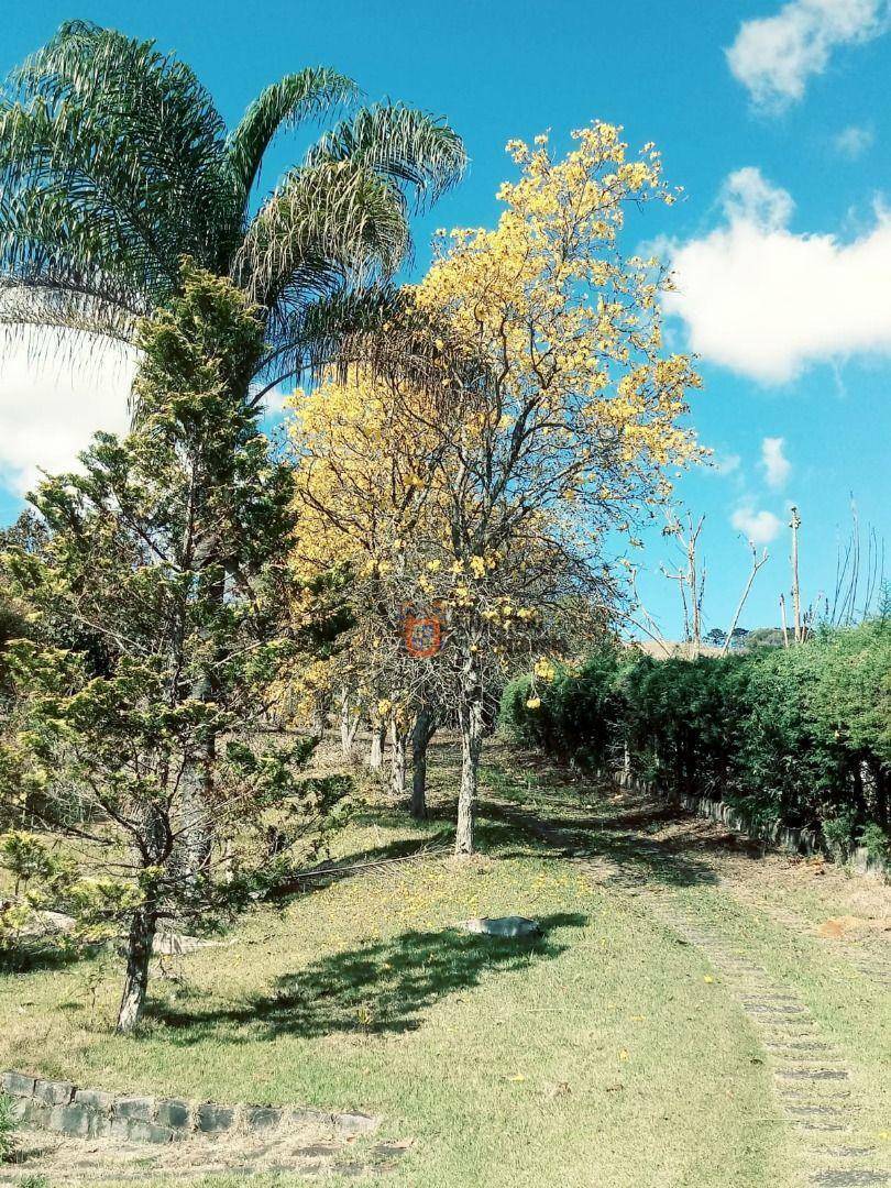 Chácara à venda com 2 quartos, 98m² - Foto 24