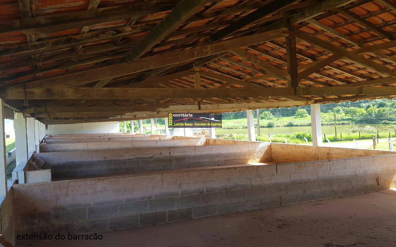 Sítio à venda - Foto 47