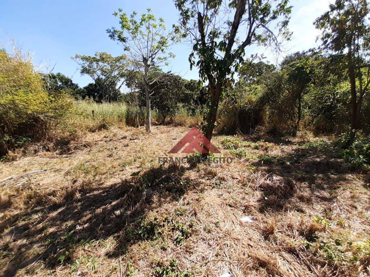 Terreno à venda, 2123M2 - Foto 3