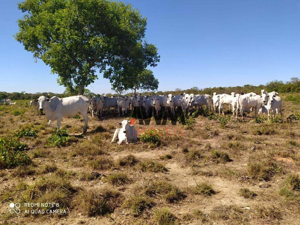 Fazenda à venda, 6921200M2 - Foto 15