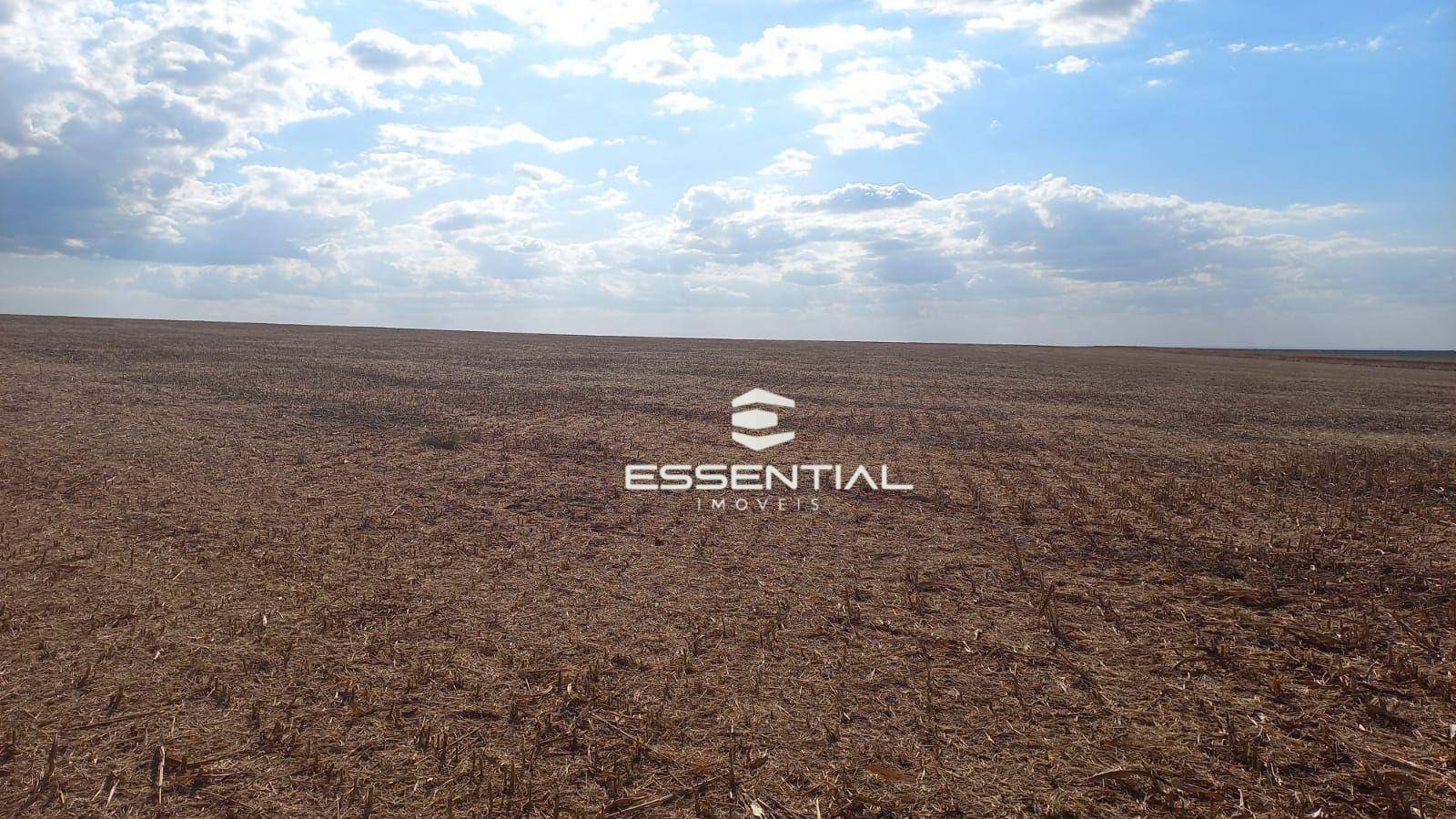 Fazenda, 1143 hectares - Foto 3