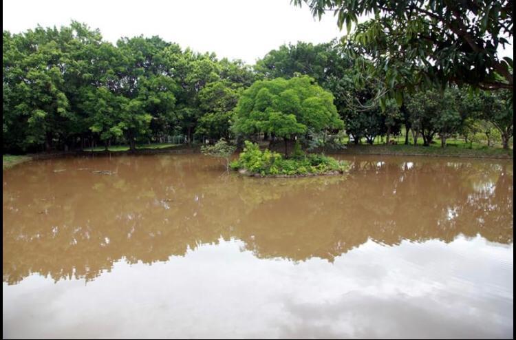 Chácara à venda com 3 quartos, 30000m² - Foto 40