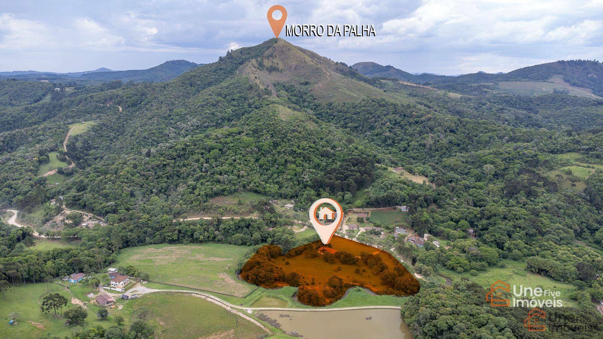 Chácara, 4 quartos, 2 hectares - Foto 4