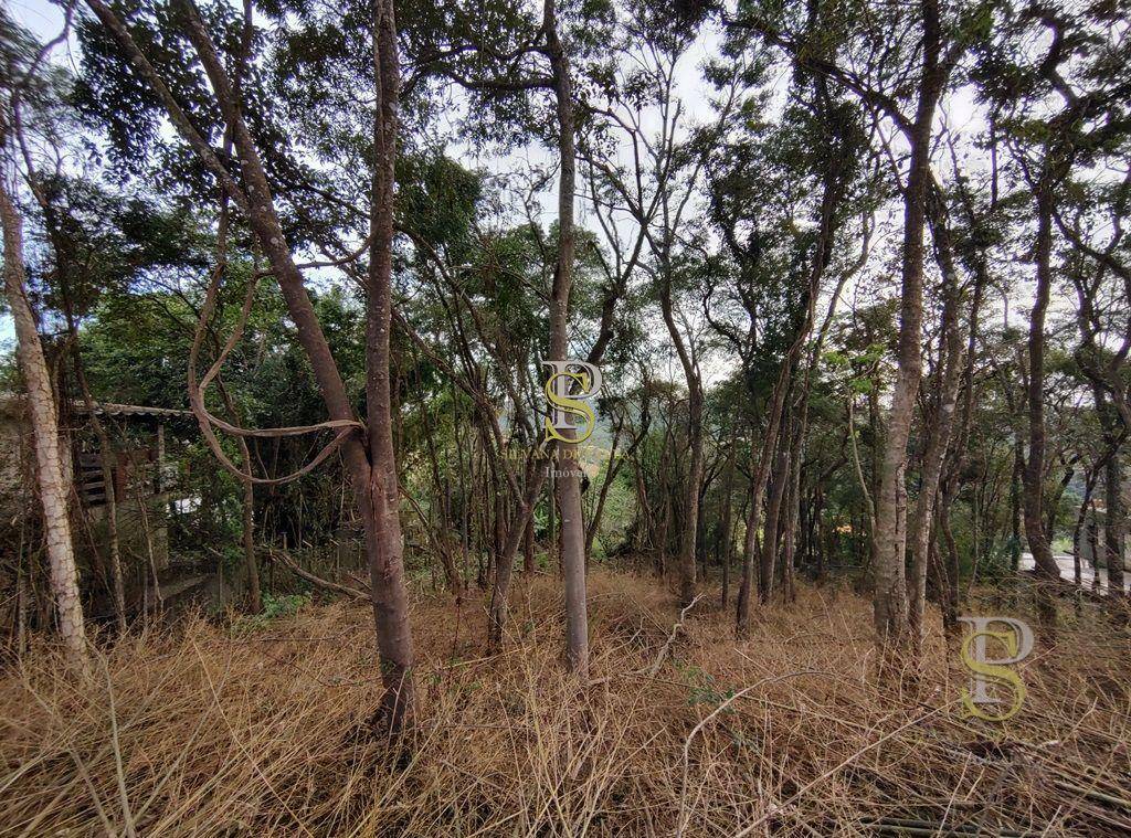 Terreno à venda, 1000M2 - Foto 8