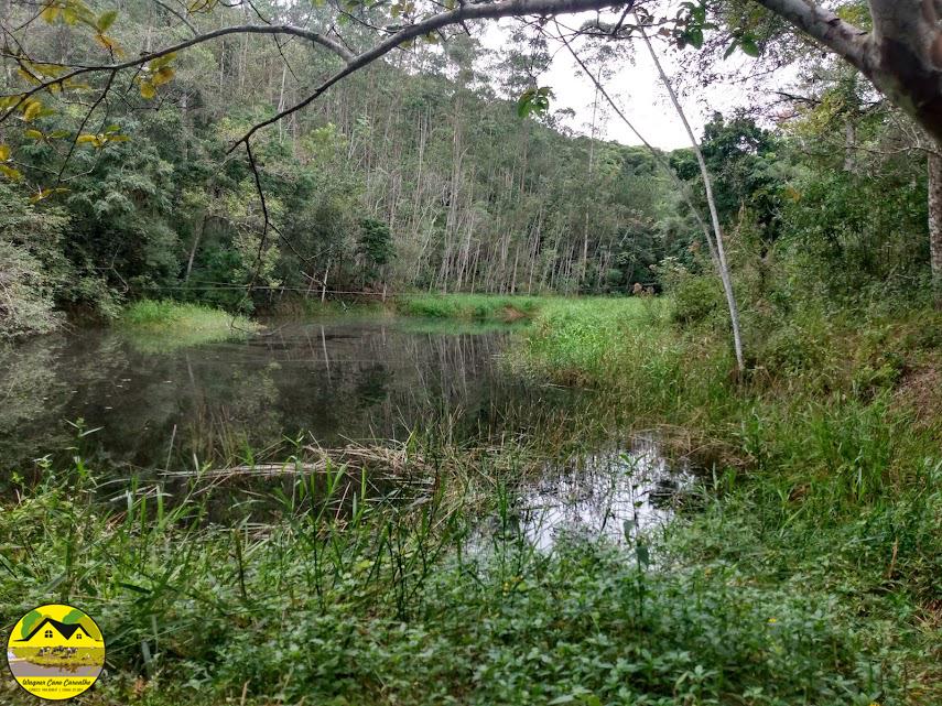 Fazenda à venda com 3 quartos, 30m² - Foto 9