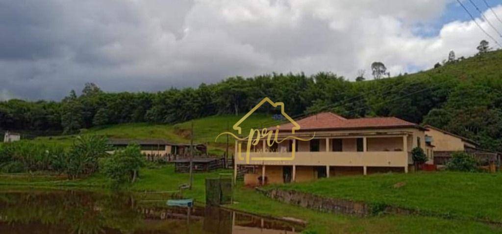 Fazenda à venda com 5 quartos, 1000m² - Foto 3