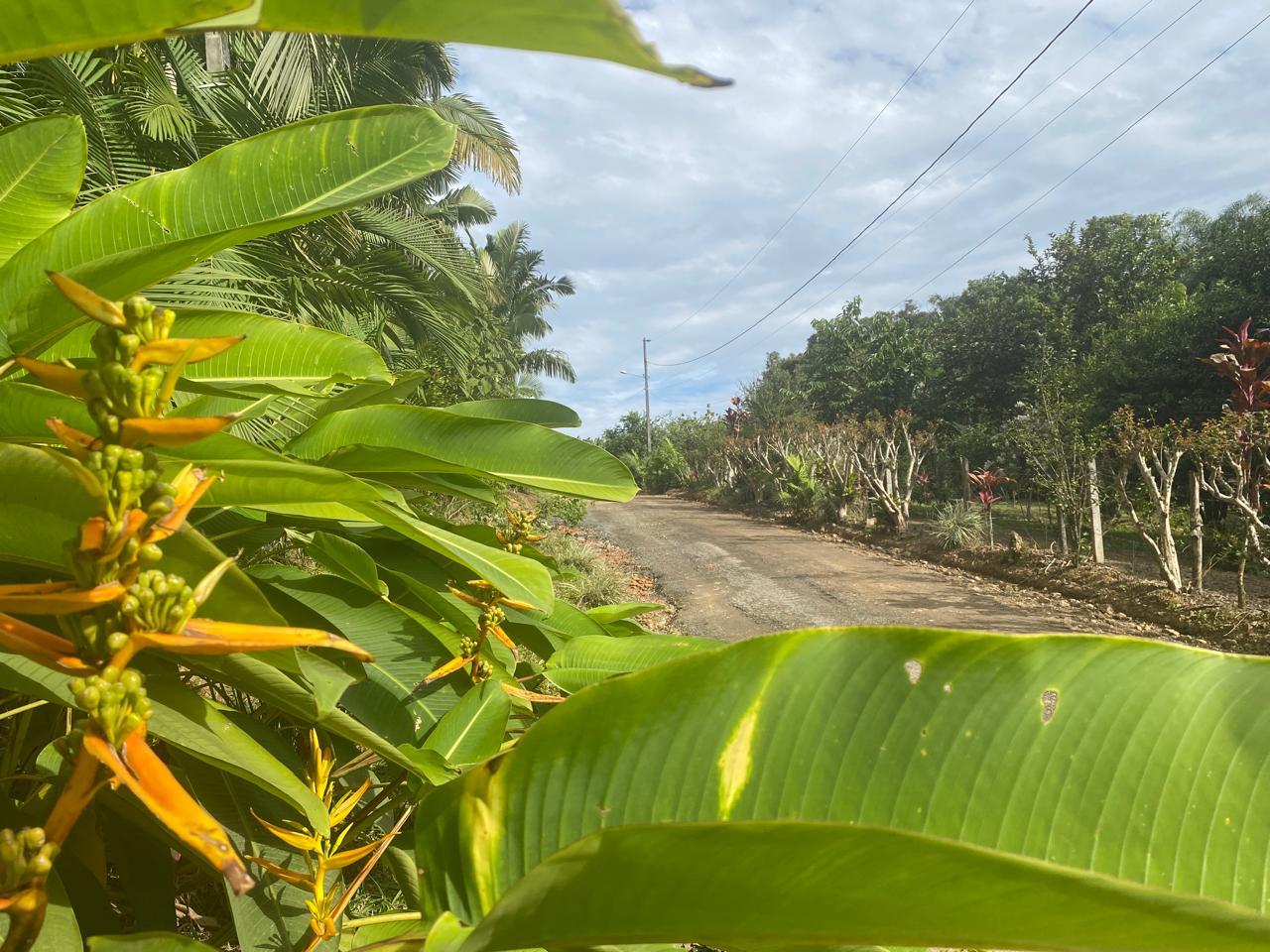 Fazenda à venda com 5 quartos, 5270m² - Foto 22