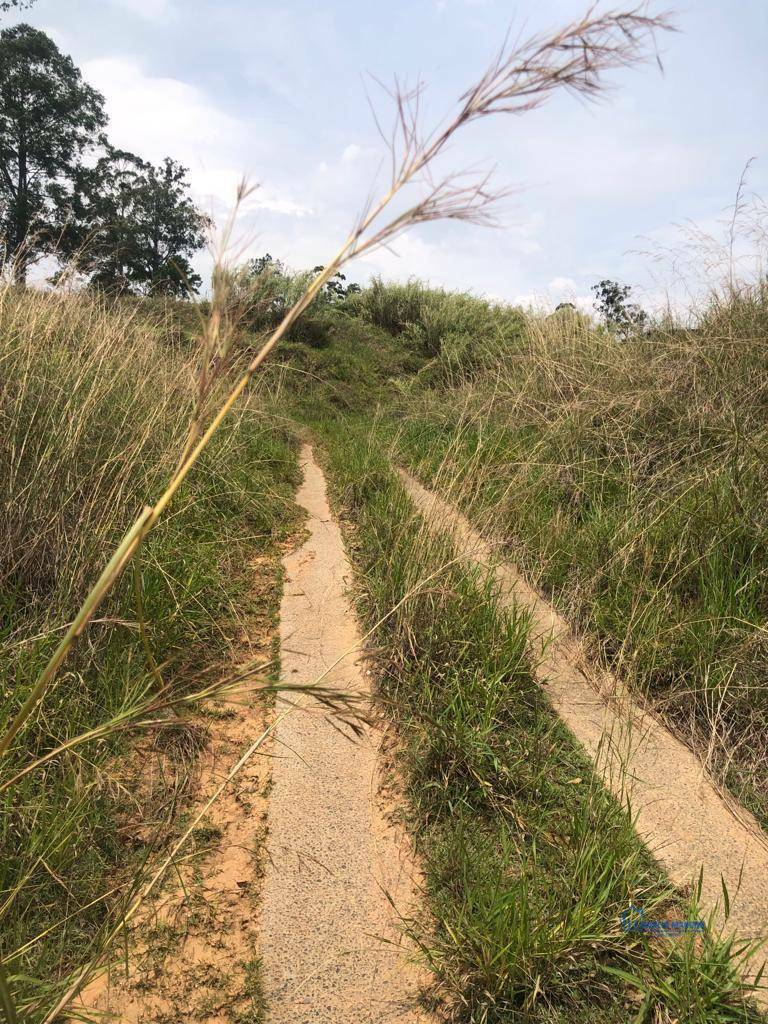 Terreno à venda, 3000M2 - Foto 6