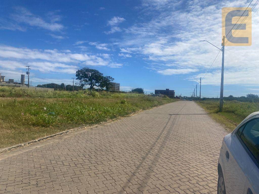 Terreno, 250 m² - Foto 6