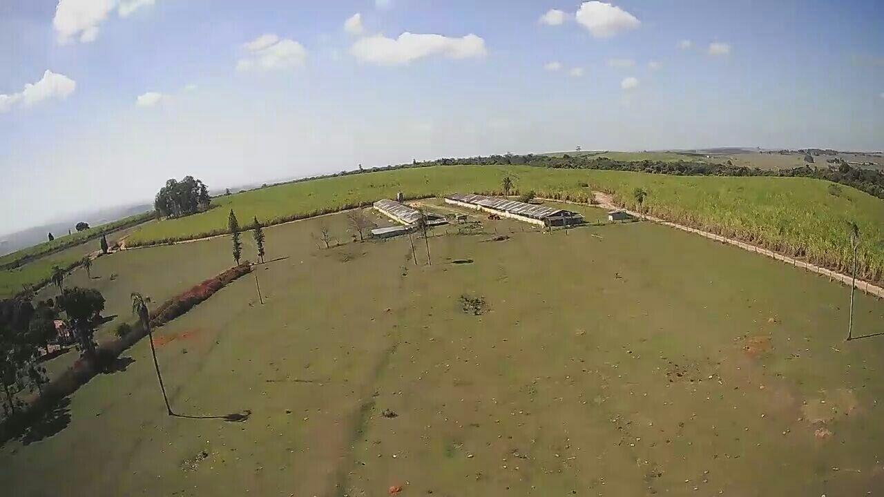 Fazenda à venda com 2 quartos, 1573000m² - Foto 16