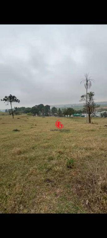 Terreno, 1 hectares - Foto 4