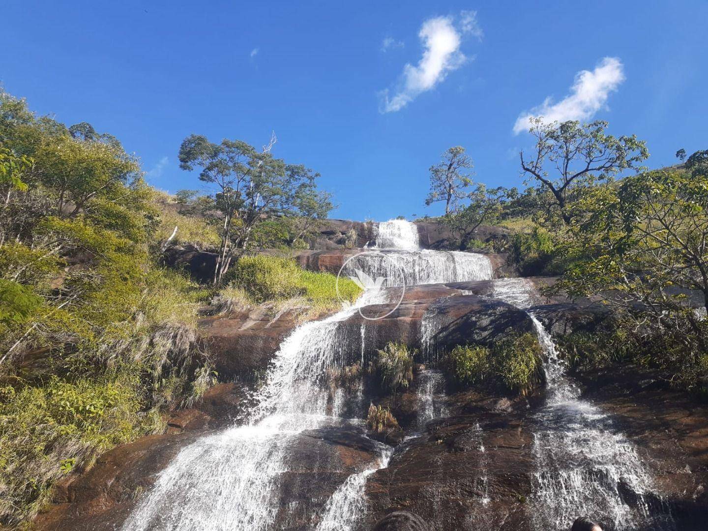 Sítio à venda com 3 quartos, 8000M2 - Foto 63