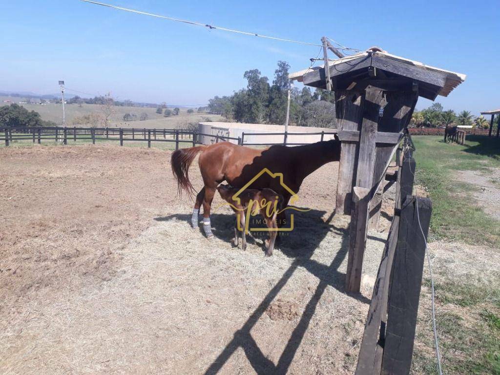 Haras e Área Rural Padrão à venda com 4 quartos, 1000m² - Foto 5