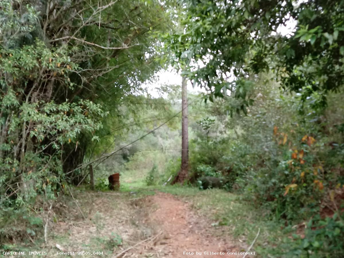 Fazenda à venda com 4 quartos, 160000m² - Foto 11