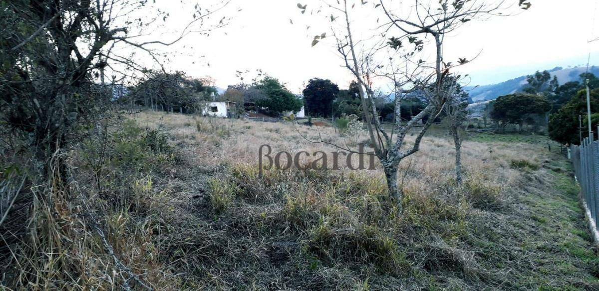 Chácara à venda, 4000M2 - Foto 5