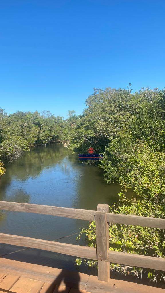 Fazenda-Sítio-Chácara, 10500 hectares - Foto 2