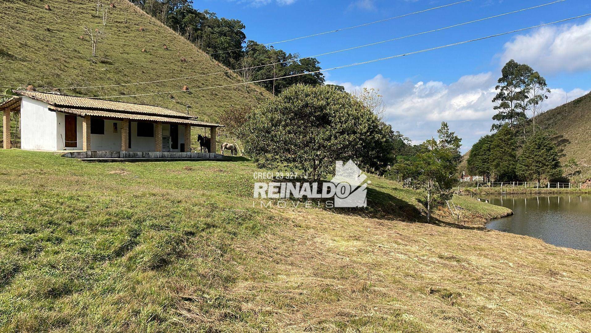 Fazenda à venda com 8 quartos, 900m² - Foto 52