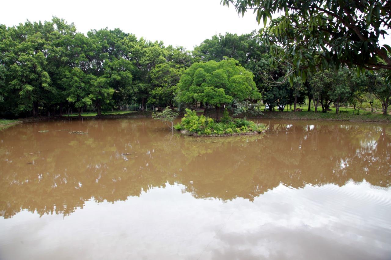 Chácara à venda com 3 quartos, 30000m² - Foto 42