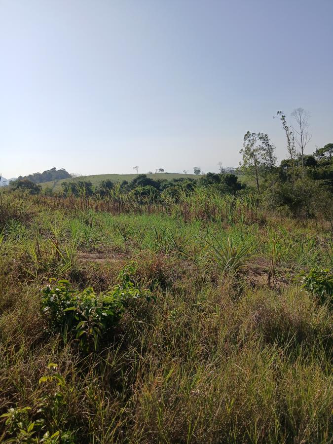 Fazenda à venda com 1 quarto, 96000m² - Foto 8