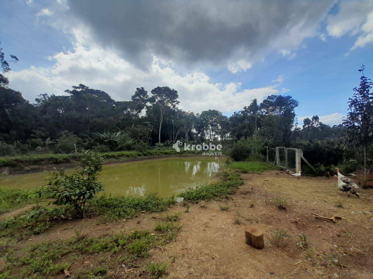 Chácara à venda com 1 quarto, 7490M2 - Foto 3