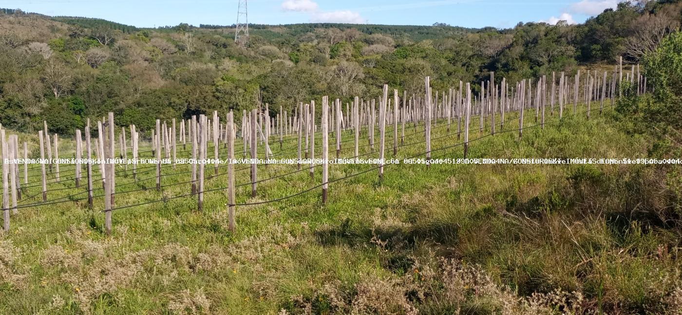 Fazenda à venda com 3 quartos, 191120m² - Foto 24