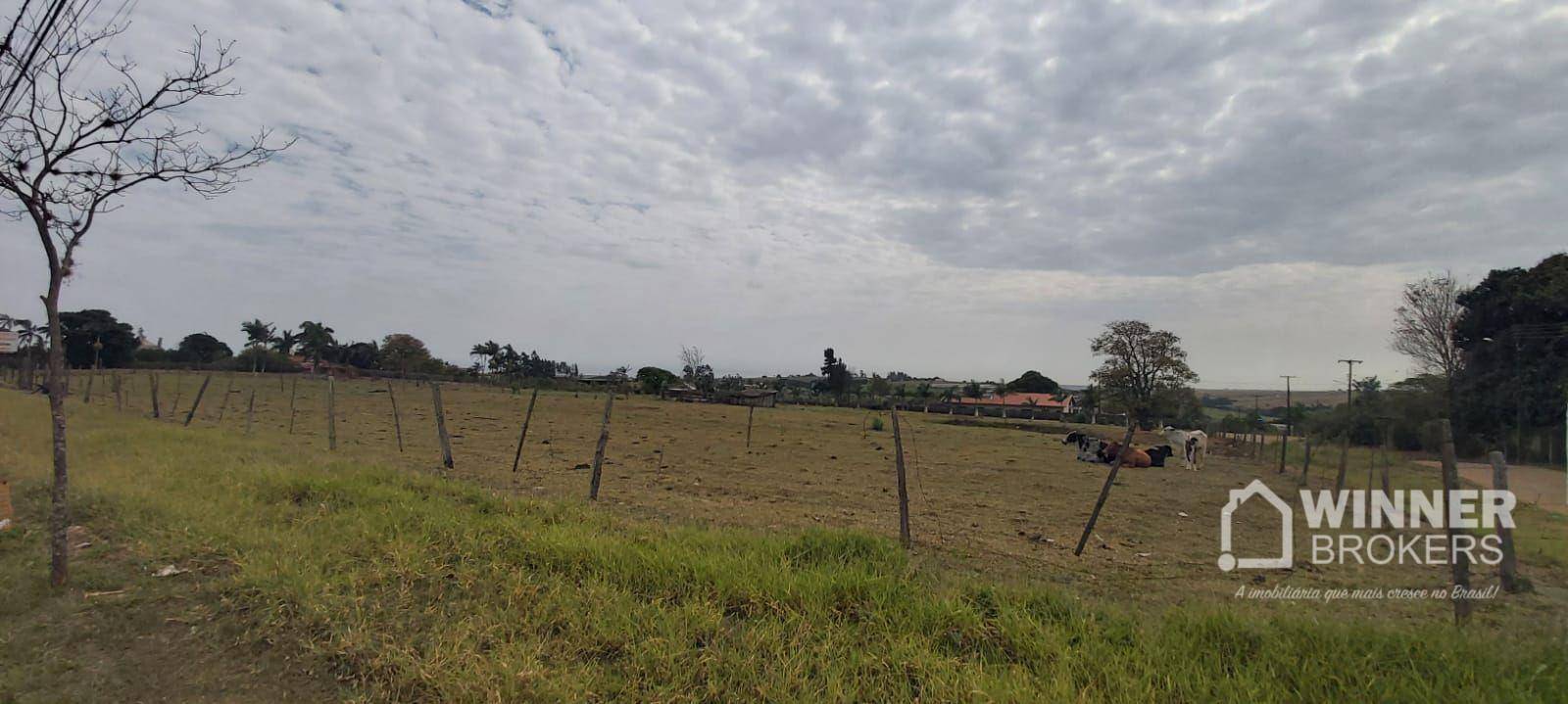 Terreno à venda, 11000M2 - Foto 6