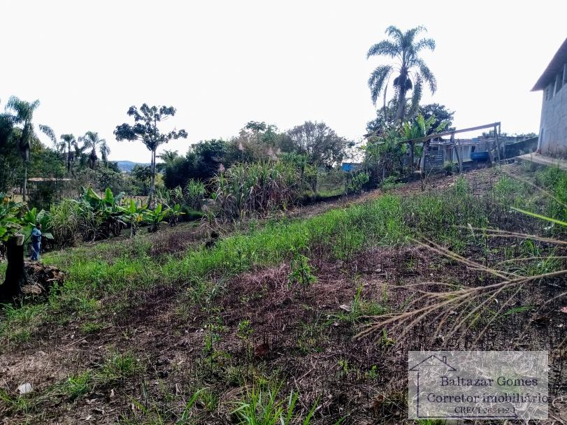 Fazenda à venda com 2 quartos, 2000m² - Foto 11