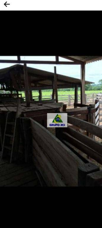 Fazenda à venda, 10000000M2 - Foto 1