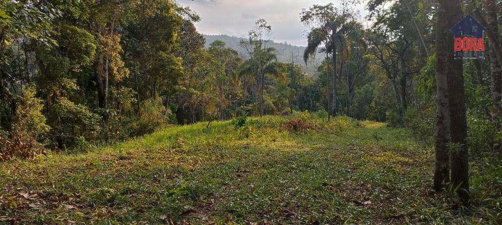 Terreno à venda, 6700M2 - Foto 1