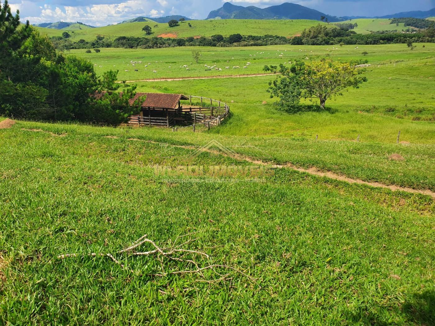 Fazenda à venda, 224m² - Foto 1