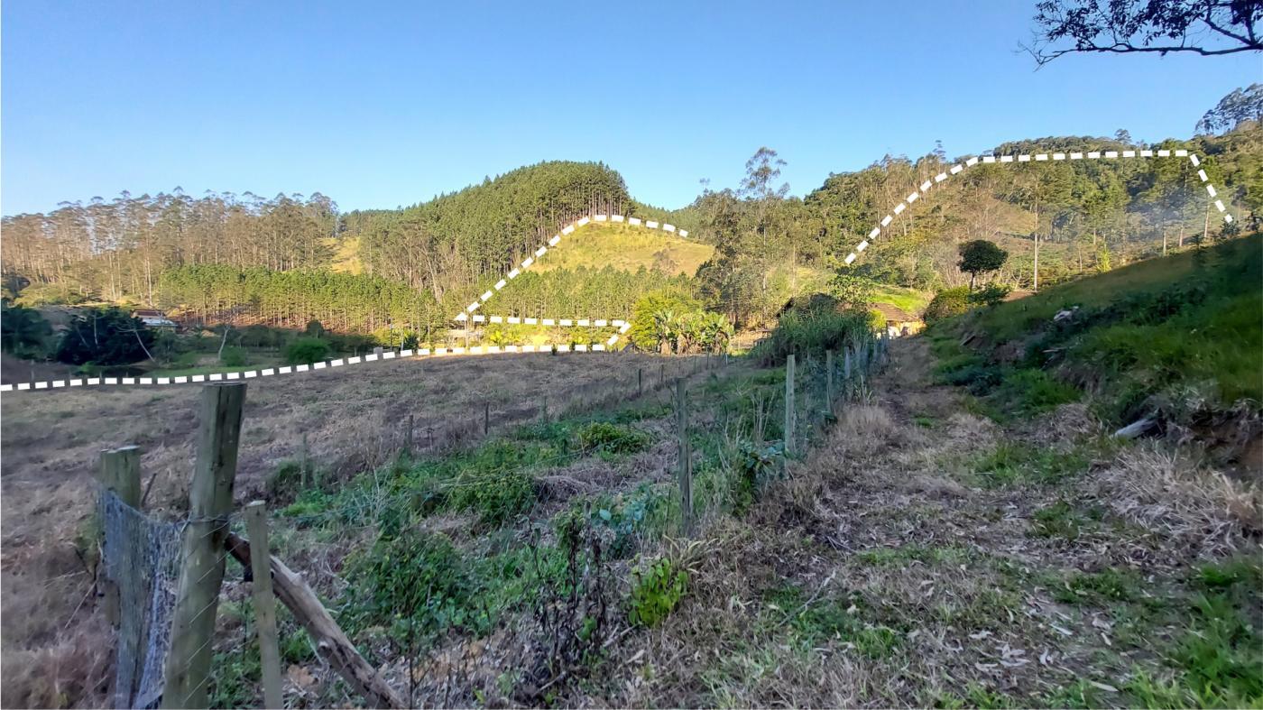 Fazenda à venda com 3 quartos, 140000m² - Foto 6