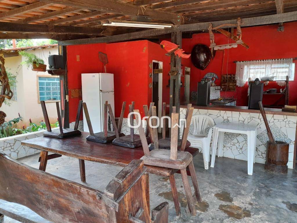 Chácara à venda com 4 quartos, 6000M2 - Foto 23