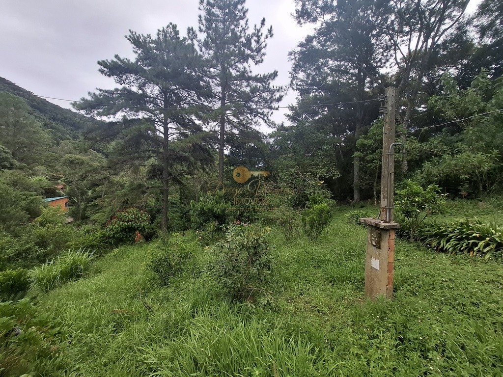 Terreno à venda, 216036m² - Foto 3
