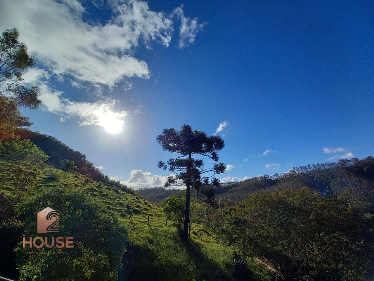 Fazenda à venda, 410000M2 - Foto 3