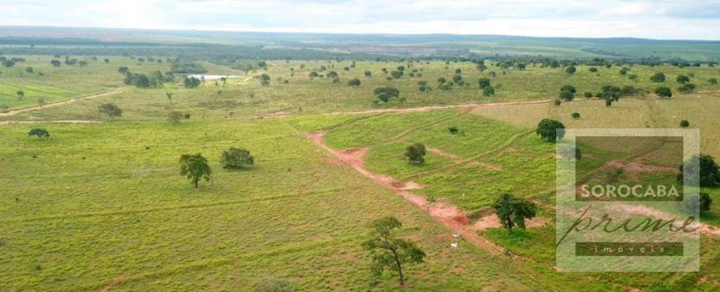 Fazenda-Sítio-Chácara, 4722 hectares - Foto 4