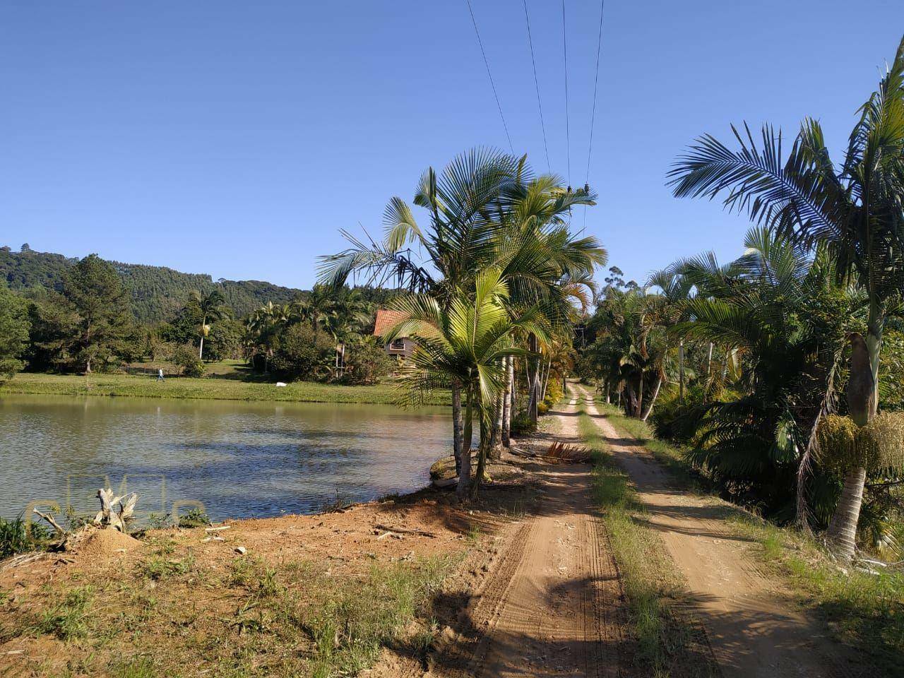 Sítio, 3 quartos, 10 hectares - Foto 4