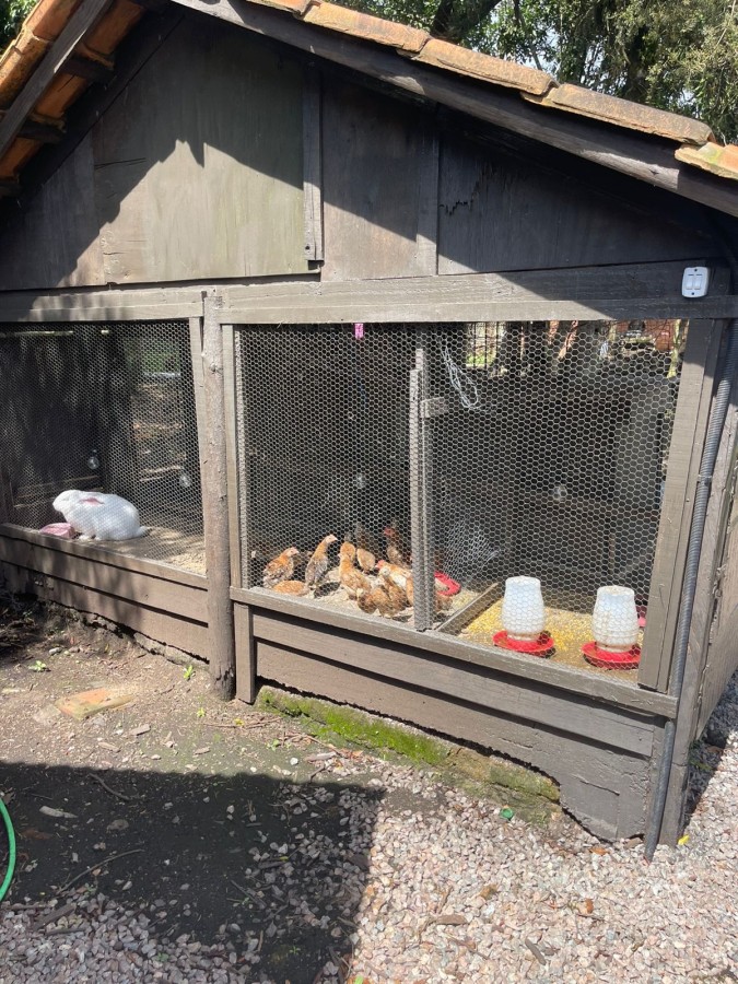 Chácara, 10000 m² - Foto 9