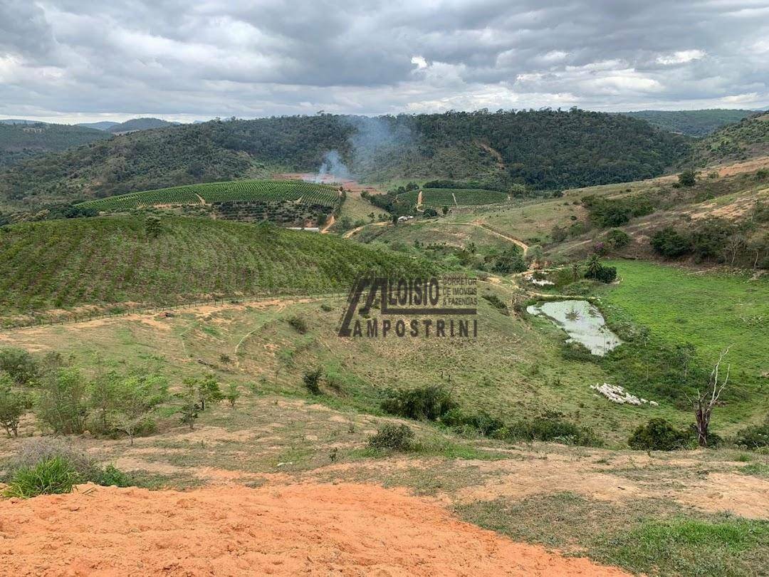 Fazenda à venda, 2420000M2 - Foto 4