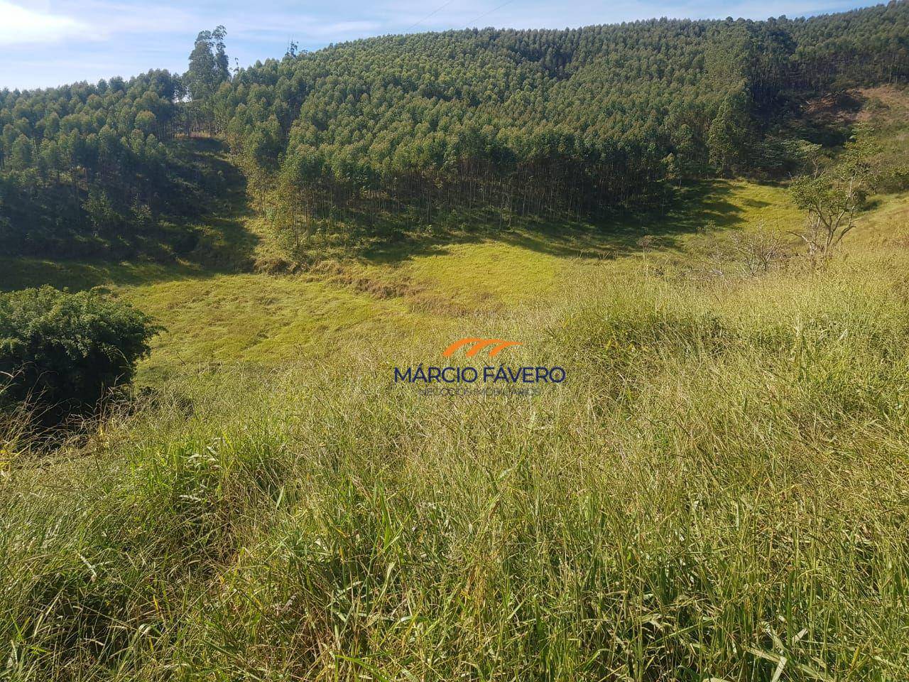 Fazenda, 303 hectares - Foto 3