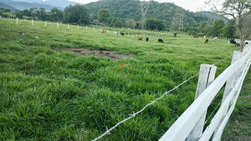 Fazenda à venda com 2 quartos, 90000m² - Foto 12