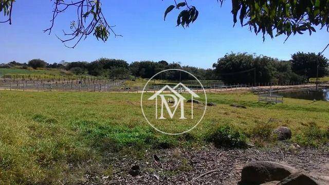 Haras e Área Rural Padrão à venda com 20 quartos, 109094m² - Foto 30