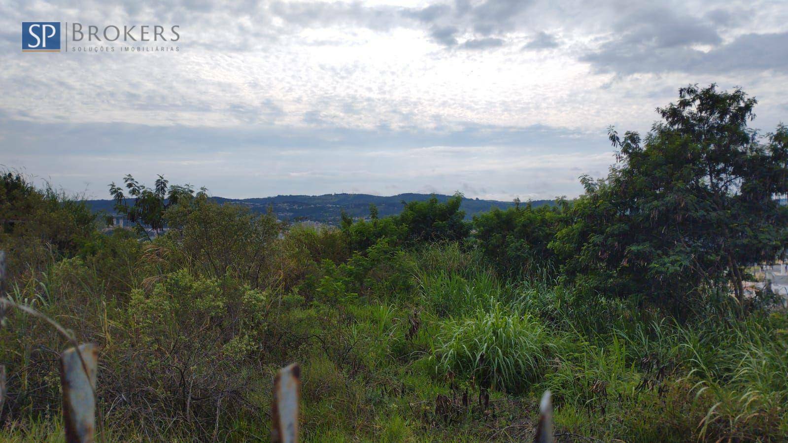 Terreno, 7972 m² - Foto 5