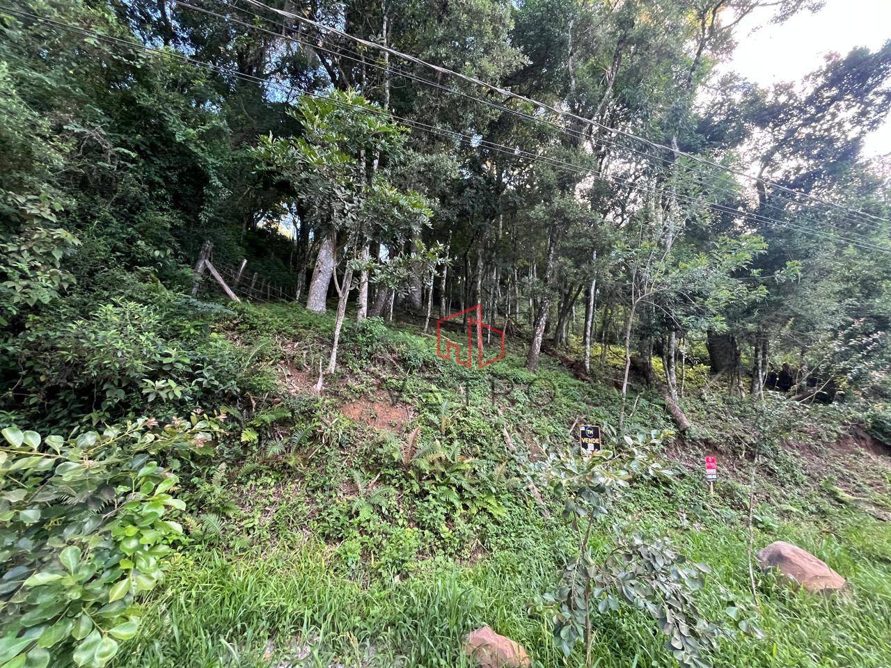 Terreno, 1125 m² - Foto 3