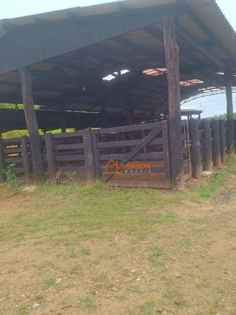 Fazenda à venda com 2 quartos, 250m² - Foto 5