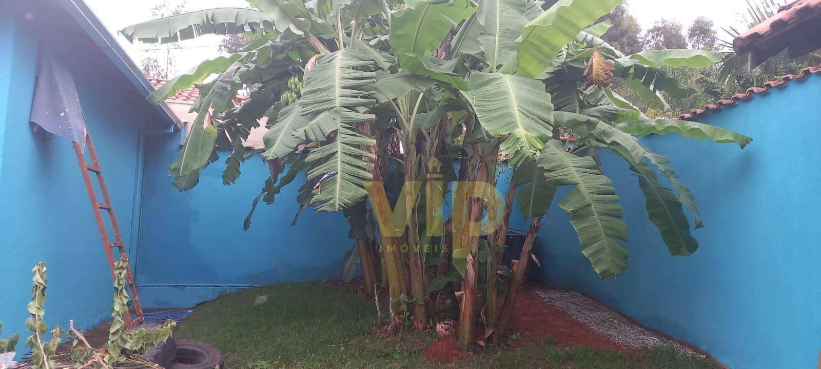 Chácara à venda com 3 quartos, 500M2 - Foto 10