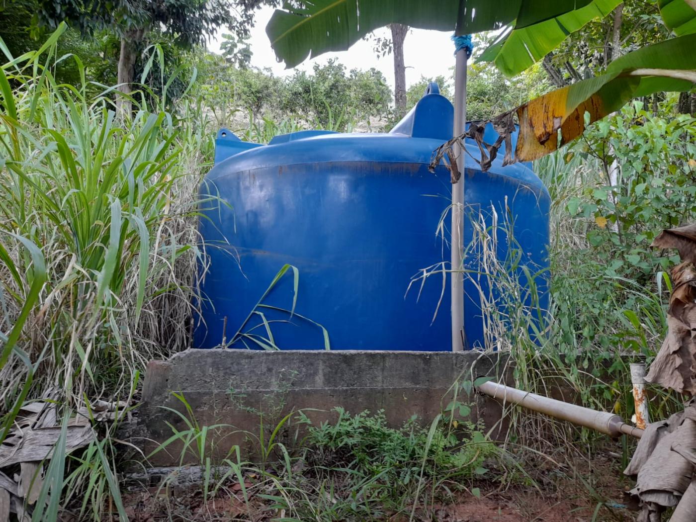 Fazenda à venda com 3 quartos, 1000m² - Foto 25