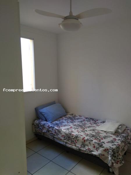 Apartamento à venda com 2 quartos, 54m² - Foto 4